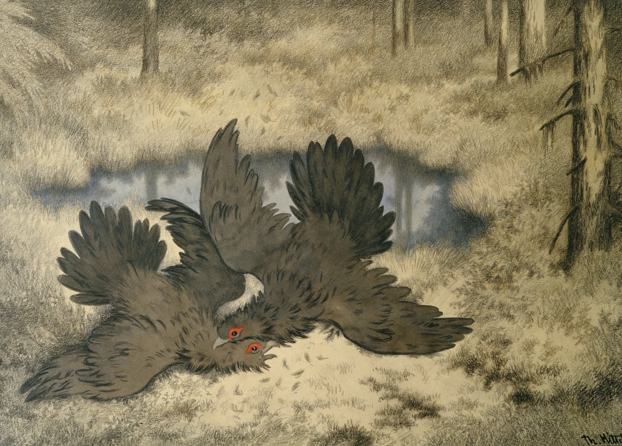 Het gevecht van de trollenvogel daarbinnen door Theodor Kittelsen
