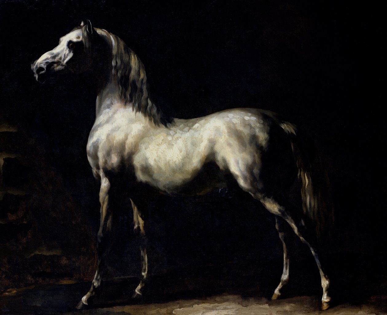 Studie van een schimmel door Theodore Gericault