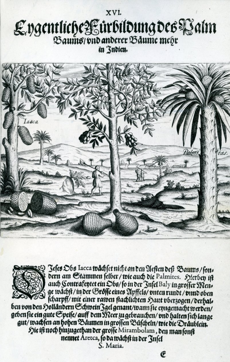 Landschap, Illustratie uit 