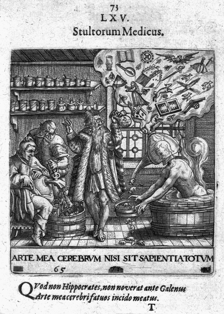 Stultorum Medicus uit 