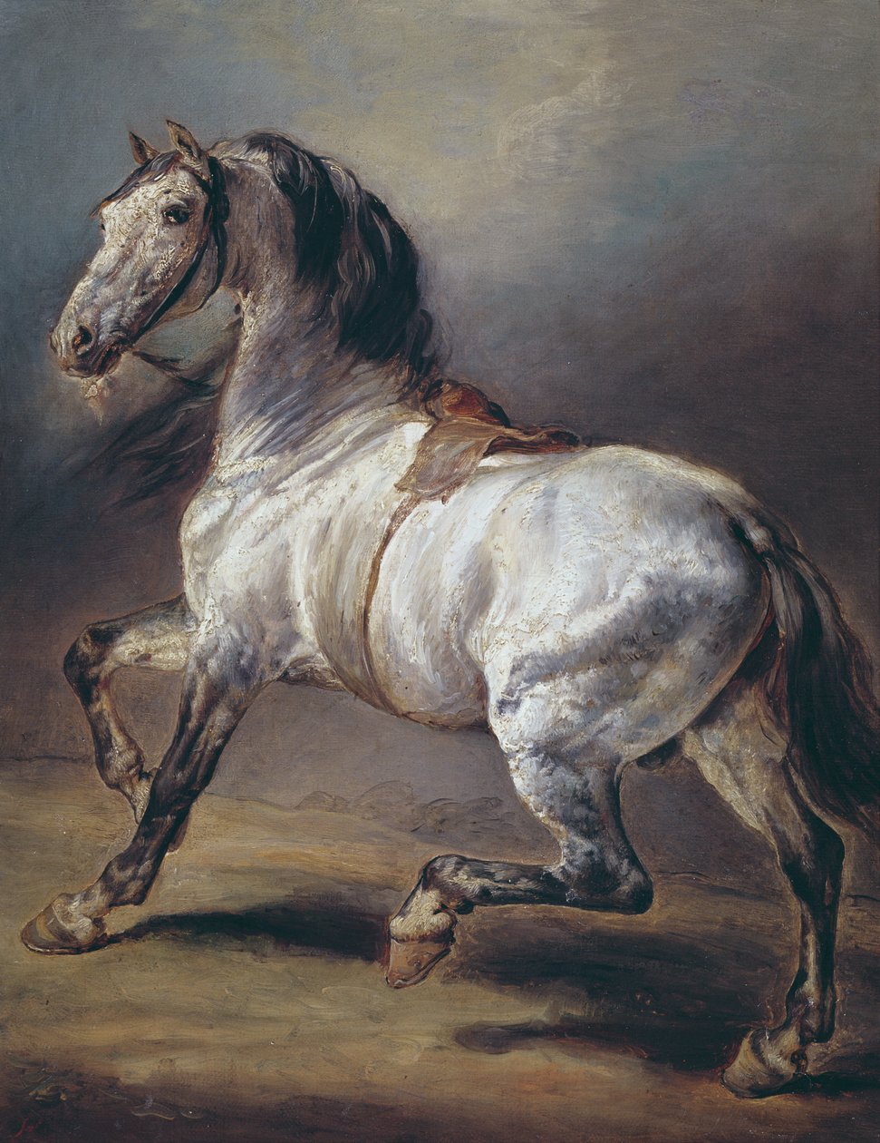 Een Studie van een Paard door Theodore Gericault