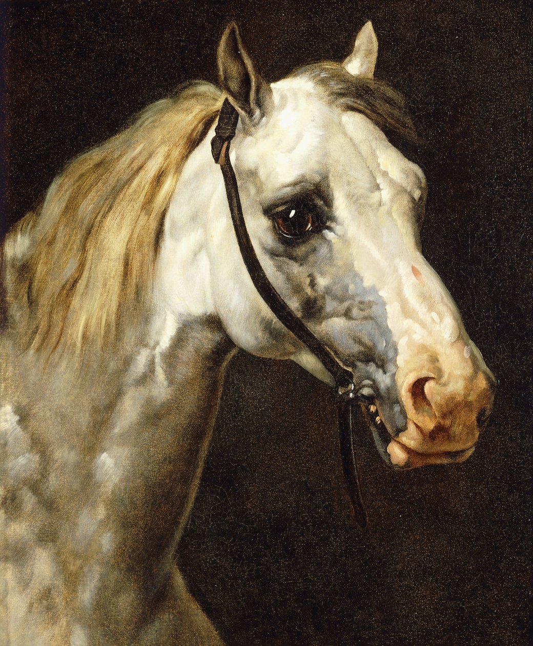 Hoofd van een bont paard door Theodore Gericault