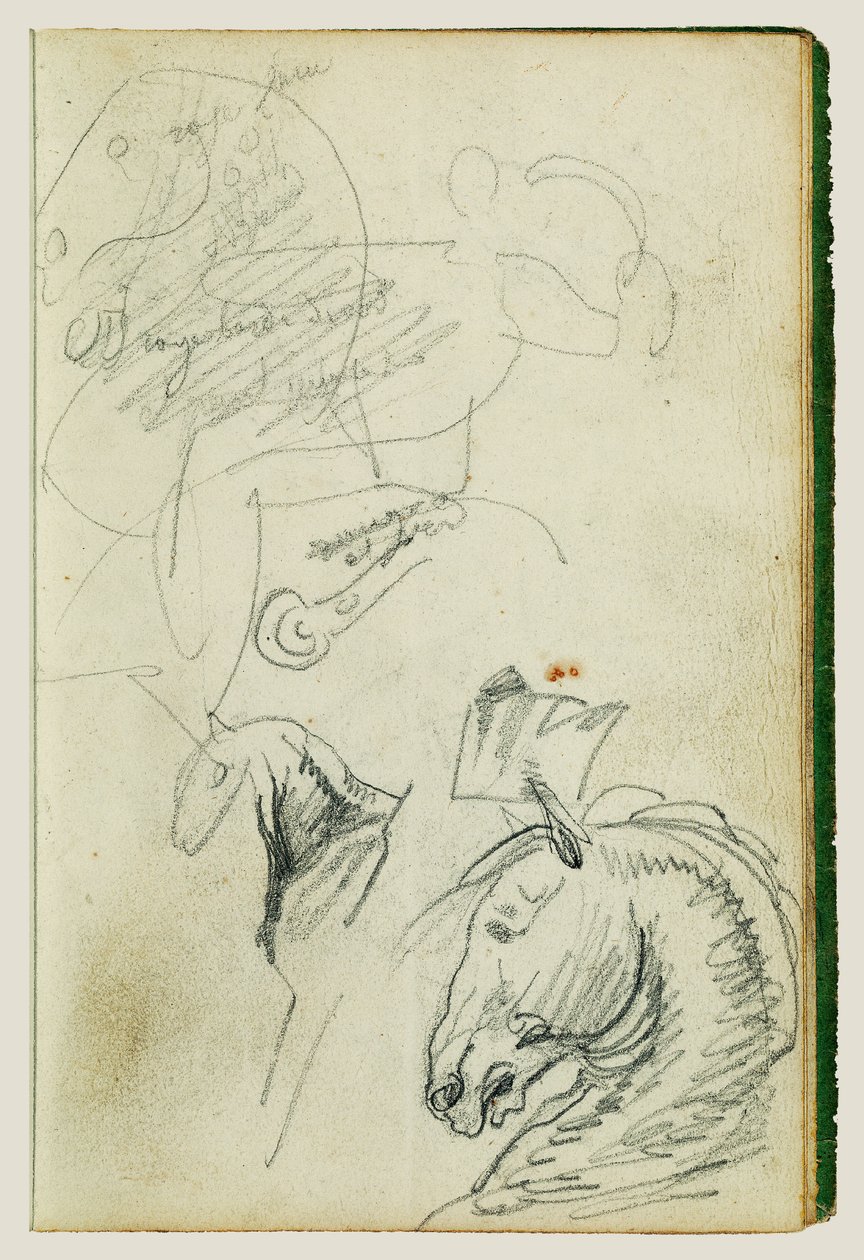 Onderzoek naar paarden door Theodore Gericault