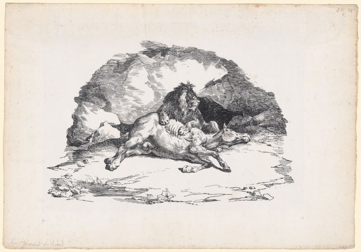 Leeuw die een paard verslindt (A Lion Devouring a Horse) door Theodore Gericault