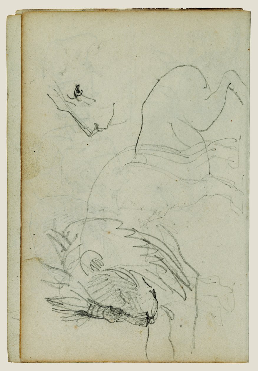 Leeuw studies door Theodore Gericault