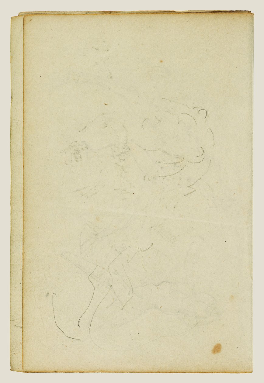 Schetsen van de kop en de achterpoten van een leeuw door Theodore Gericault