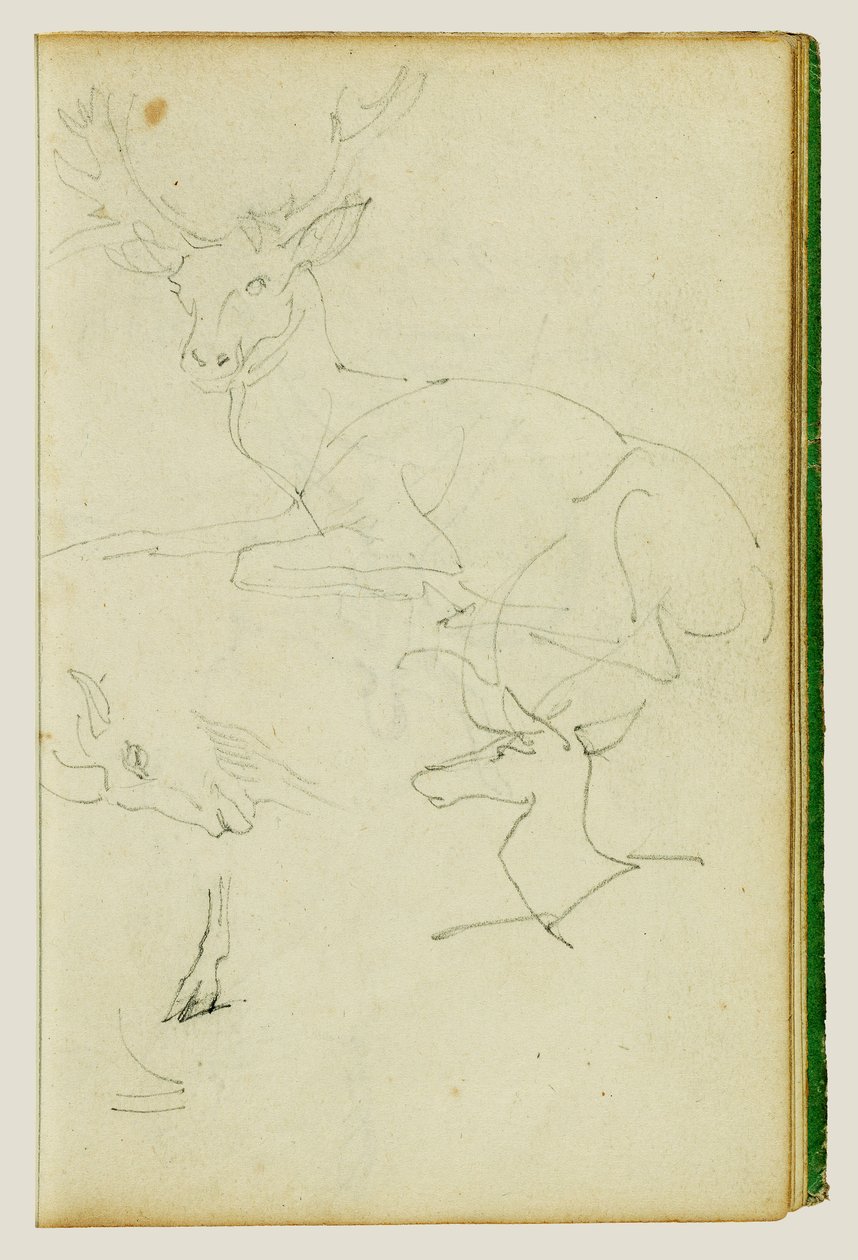 Studies van een zittend hert, een hertje en een geitenkop door Theodore Gericault