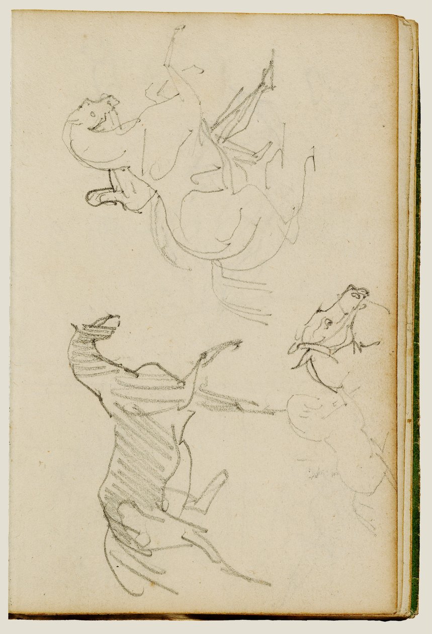 Drie onderzoeken bij paarden door Theodore Gericault