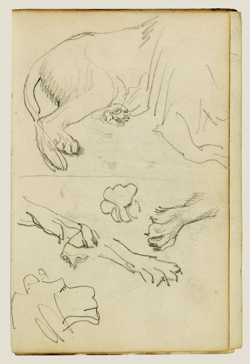 Diverse studies van leeuwenpoten, -poten en -kop door Theodore Gericault