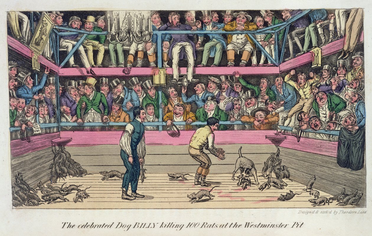 The Celebrated Dog Billy Killing 100 Rats at the Westminster Pit, uit 