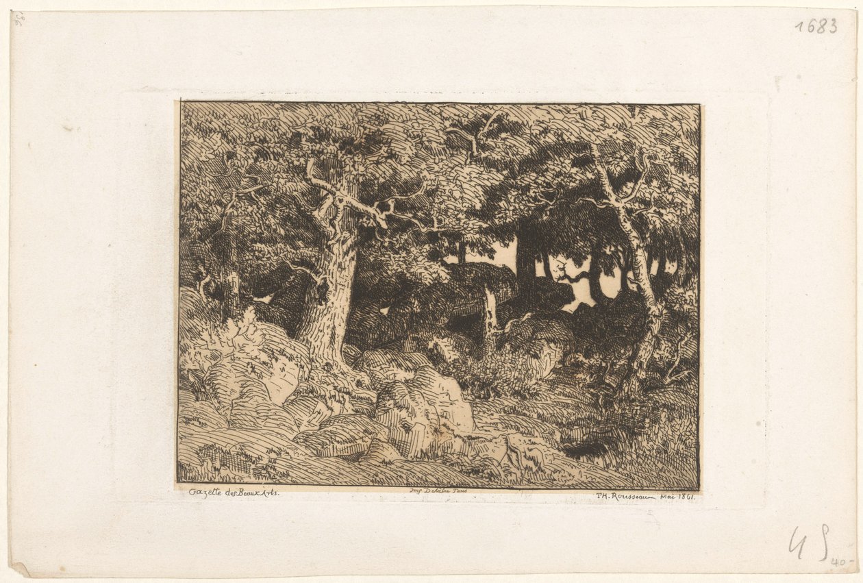 Eikenbomen op rotsen door Theodore Rousseau