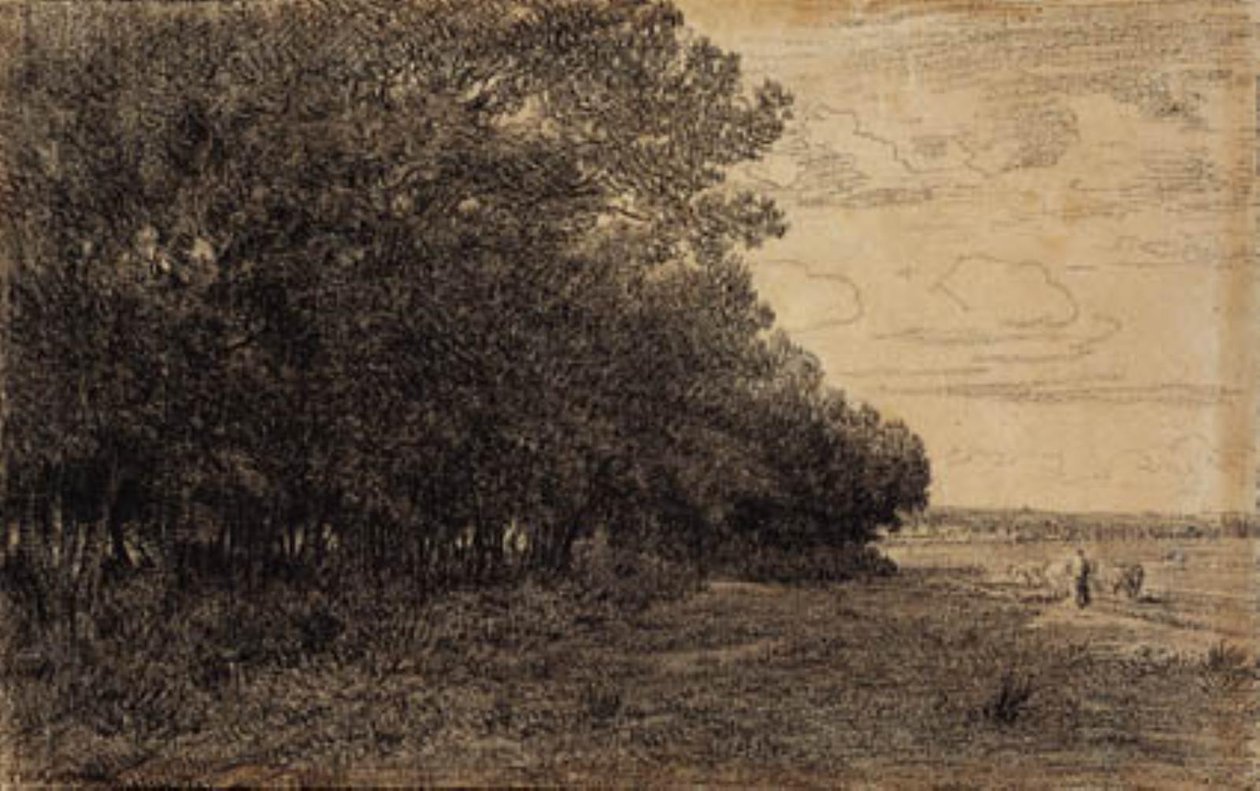 Een kleine groep hoge bomen bij het Macherin-bos door Theodore Rousseau