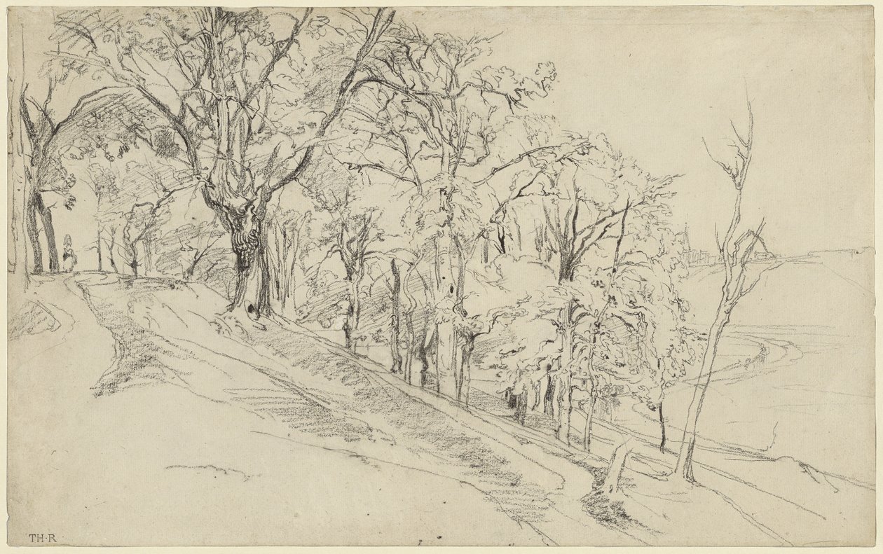 Bos in Boisrémond (recto); Huisje in een bos (verso) door Theodore Rousseau