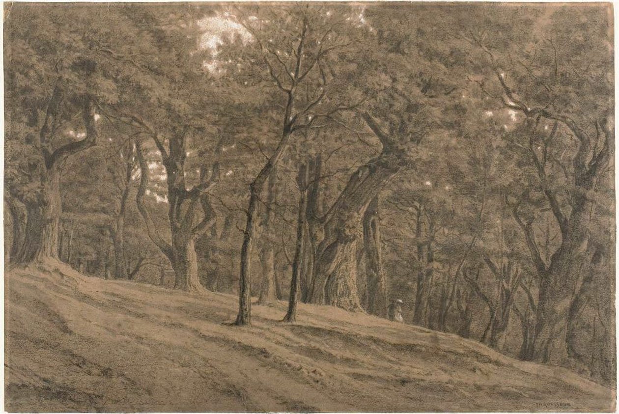 In het bos van Fontainbleau door Theodore Rousseau