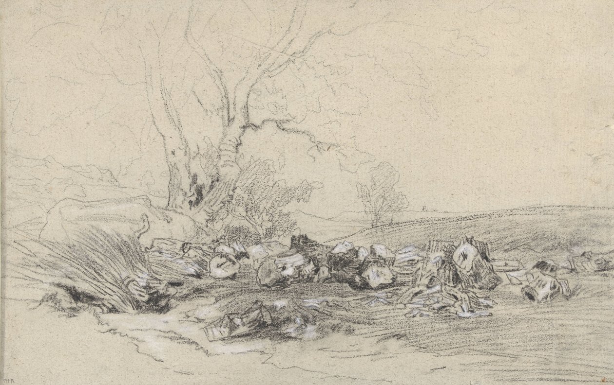 Omgehakte bomen door Theodore Rousseau