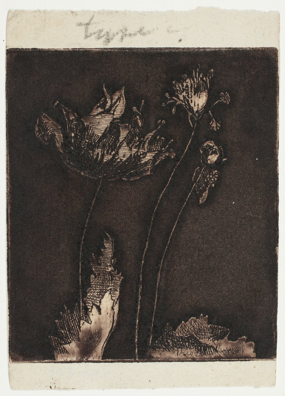 Laatste Klaprozen door Theodore Roussel