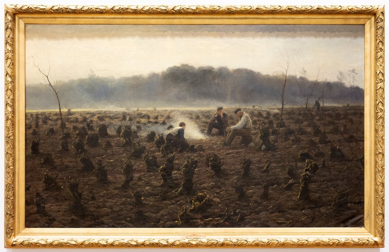 De stronken door Theodore Verstraete
