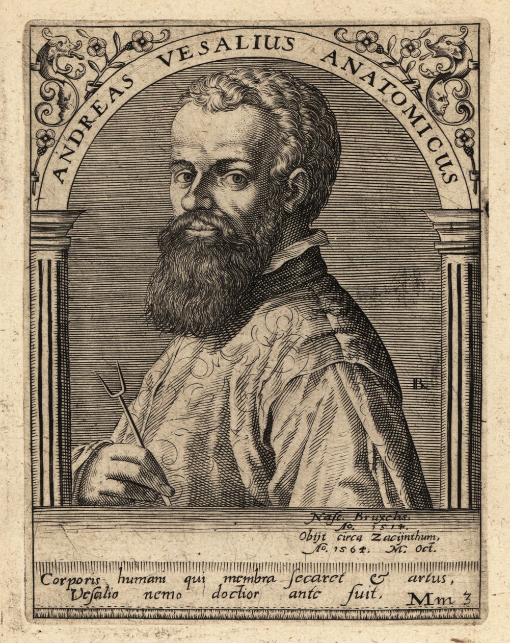 Andreas Vesalius, Vlaamse arts, anatoom door Theodore de Bry