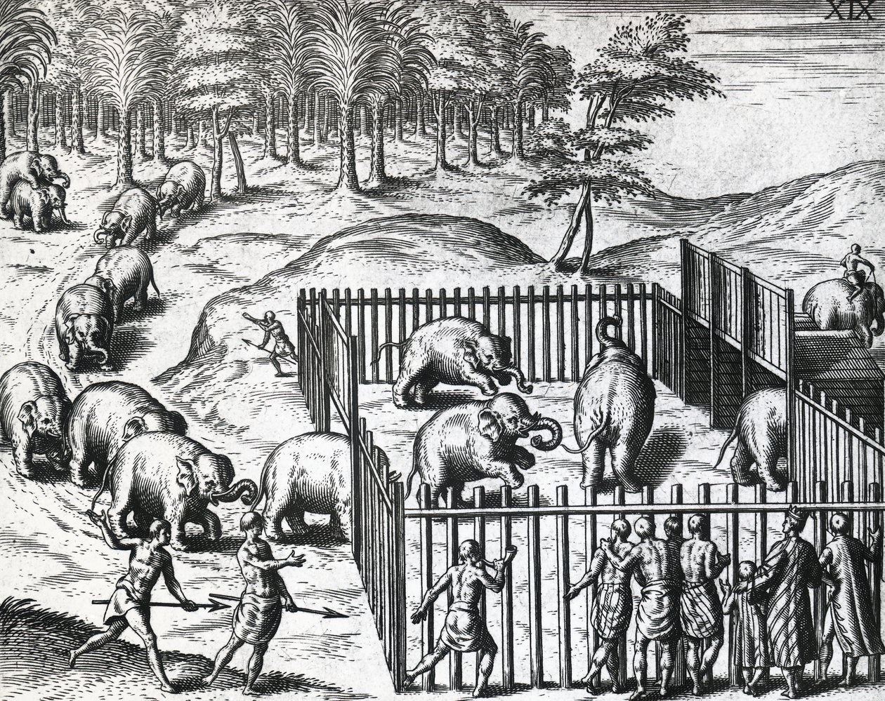 Olifantenjacht in koninkrijk Pegu, nu Myanmar, gravure door Theodore de Bry