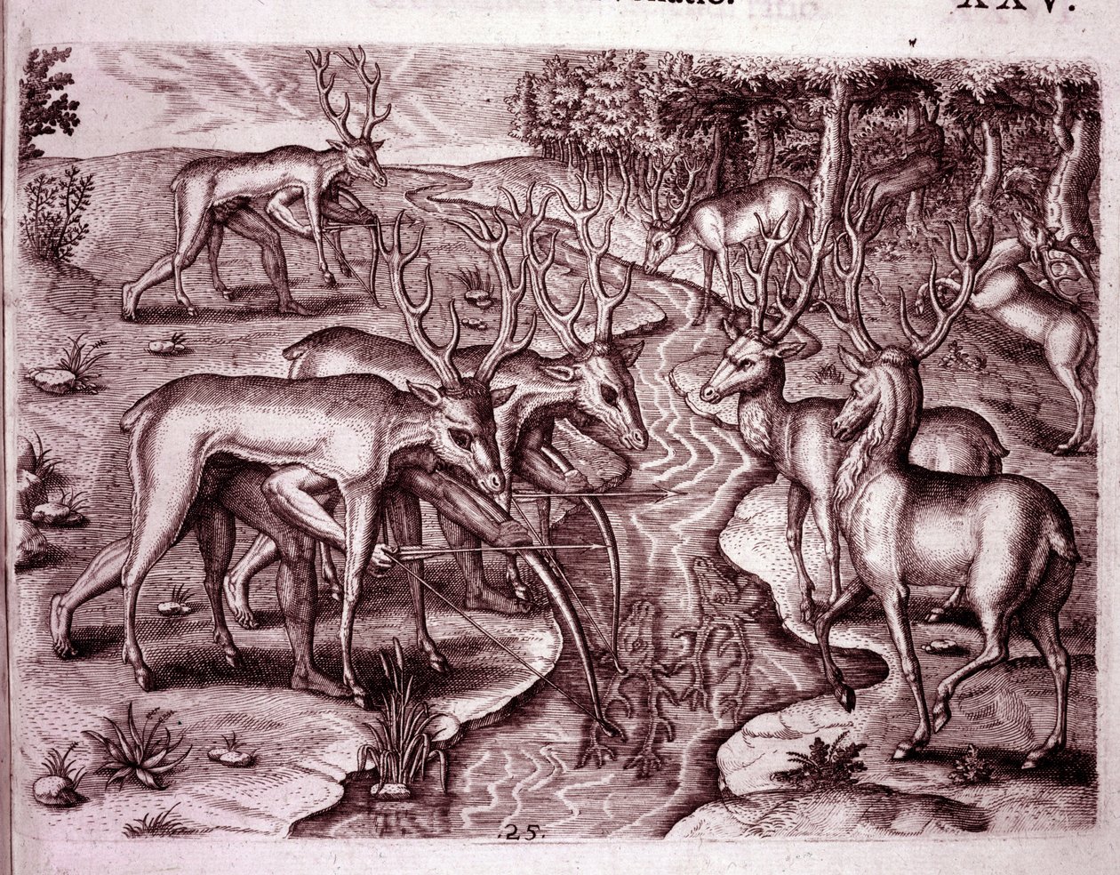 Indianen gebruiken hertenhuiden om andere herten te jagen (Gravure) door Theodore de Bry
