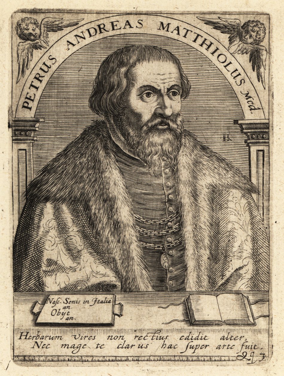 Pietro Andrea Gregorio Mattioli, Italiaanse arts door Theodore de Bry