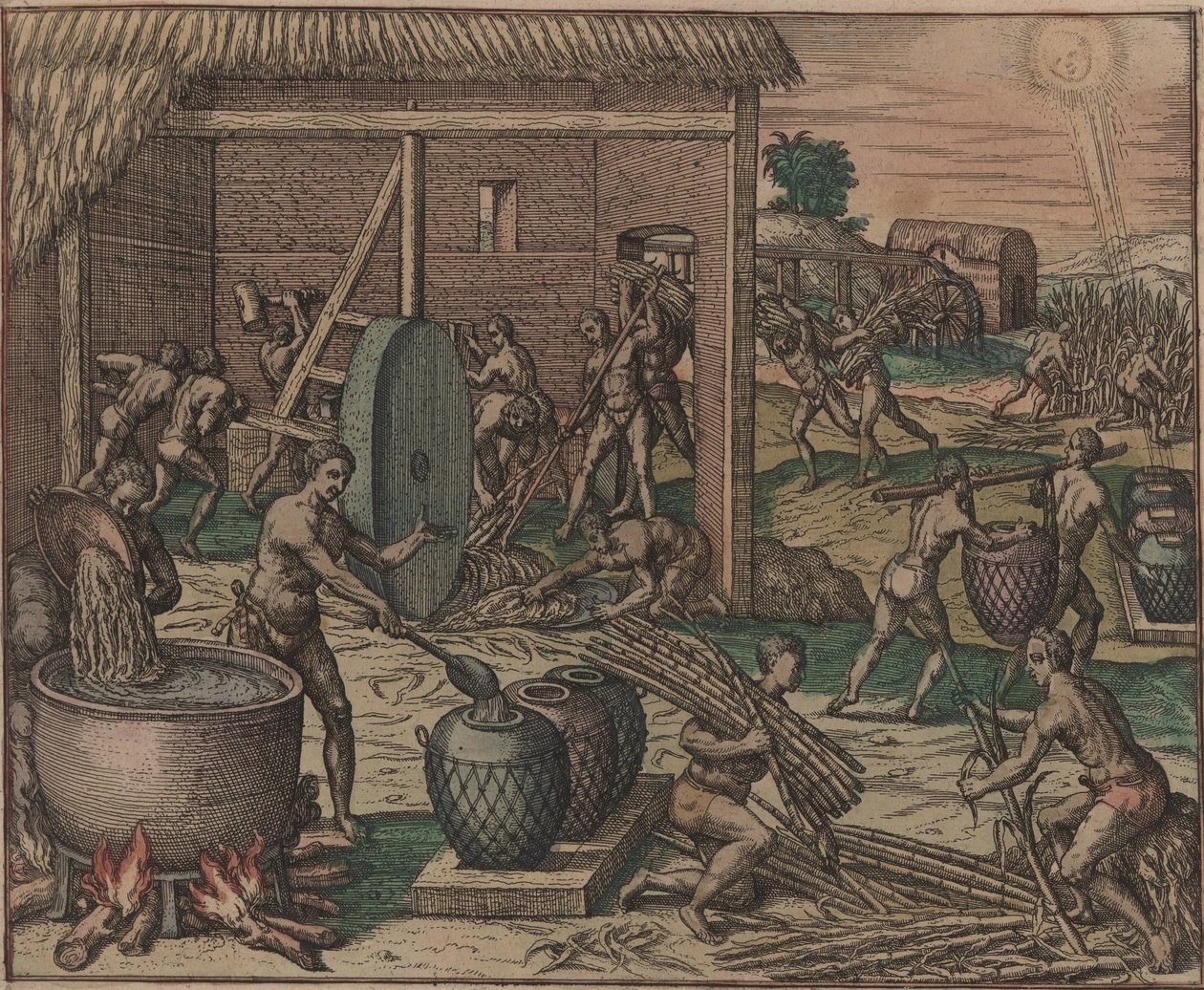 Slaven verwerken suikerriet en maken suiker, 1595 door Theodore de Bry