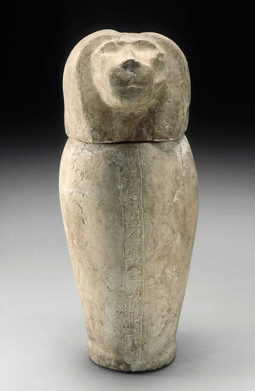 Canopische kruik met cynocefale kop (kalksteen) door Third Intermediate Period Egyptian