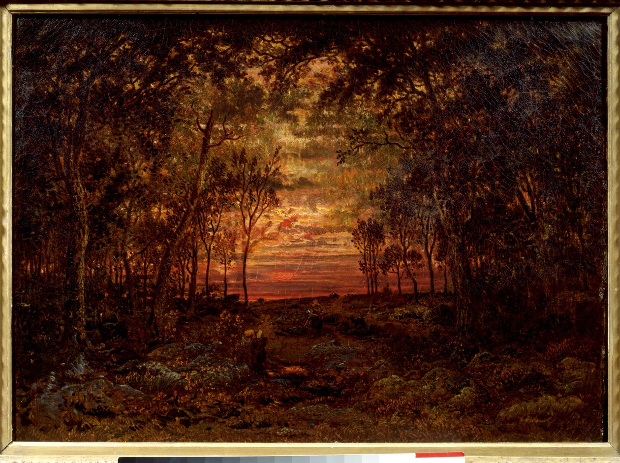 Zonsondergang in het bos door Pierre Etienne Theodore Rousseau
