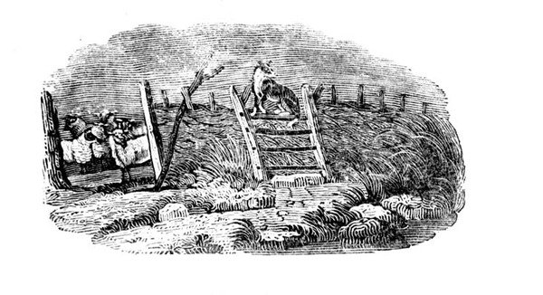 Een herdershond en schaapskooi uit Geschiedenis van Britse vogels en viervoeters door Thomas Bewick