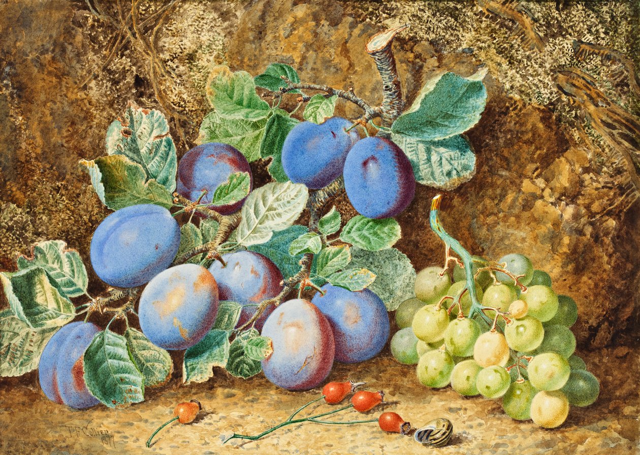 Pruimen en druiven, 1877 door Thomas Collier