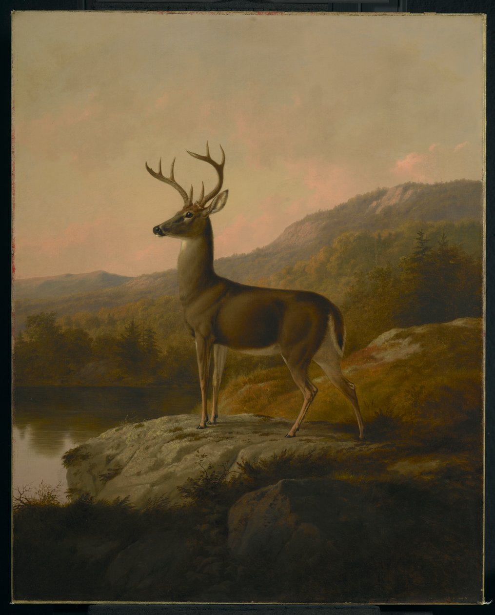 Hert, 1855 door Thomas Hewes Hinckley