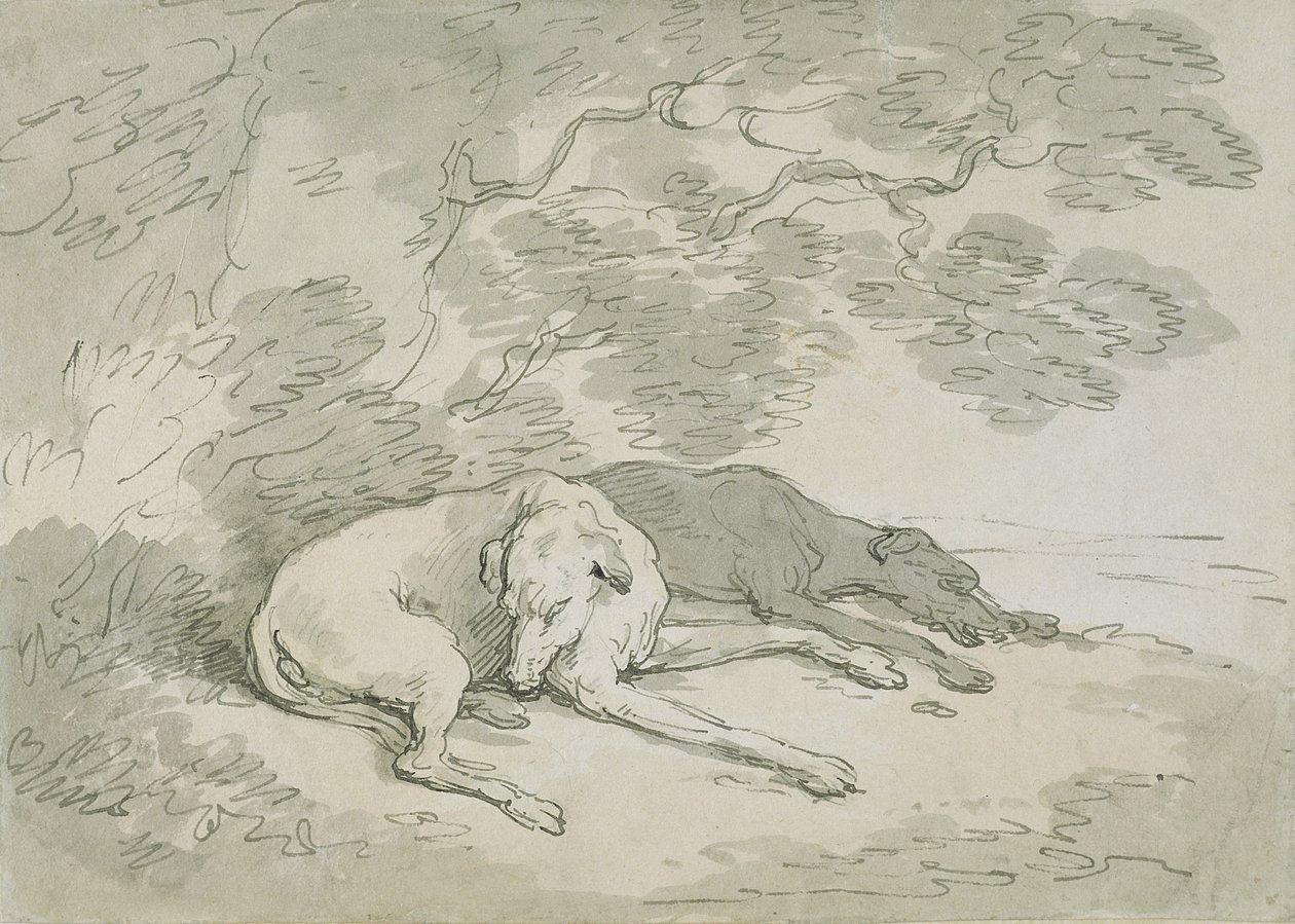 Slapende windhonden door Thomas Rowlandson