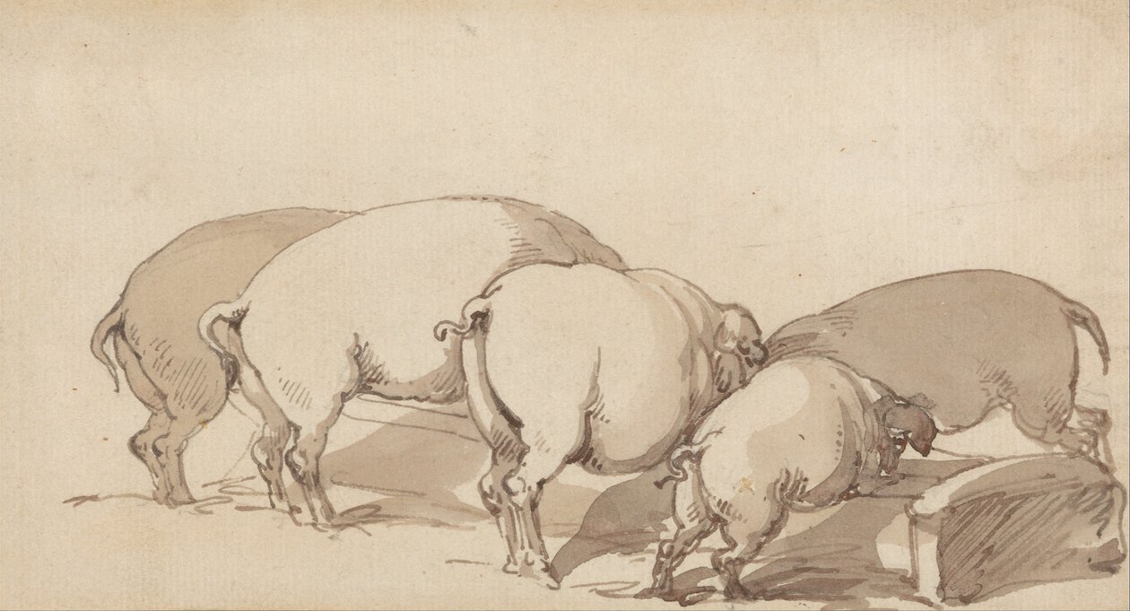 Varkens bij een trog door Thomas Rowlandson