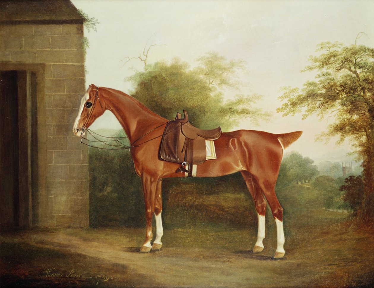 Paard met Zijzadel door Thomas Weaver