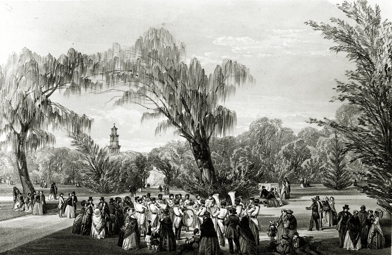 Botanische Tuinen, Kaapstad, prent gemaakt door W. Simpson, c.1850s door Thomas William Bowler