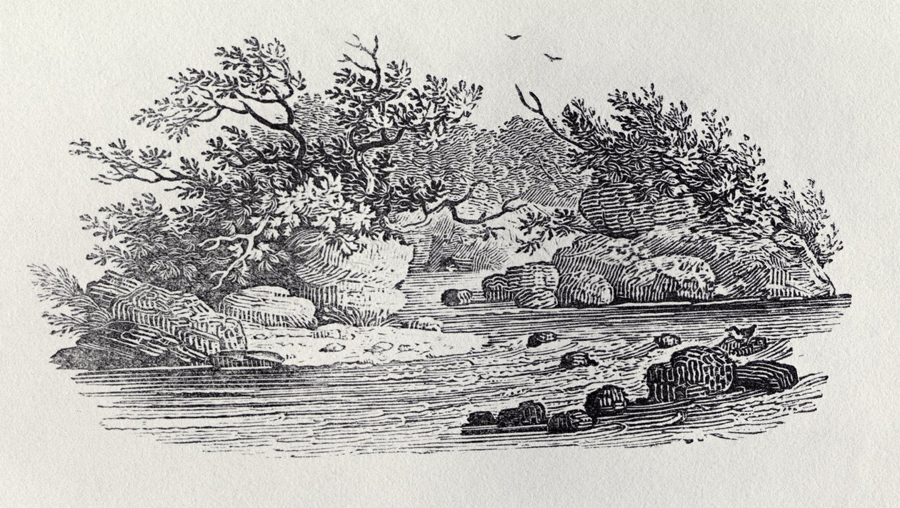 Een bocht in de rivier uit 