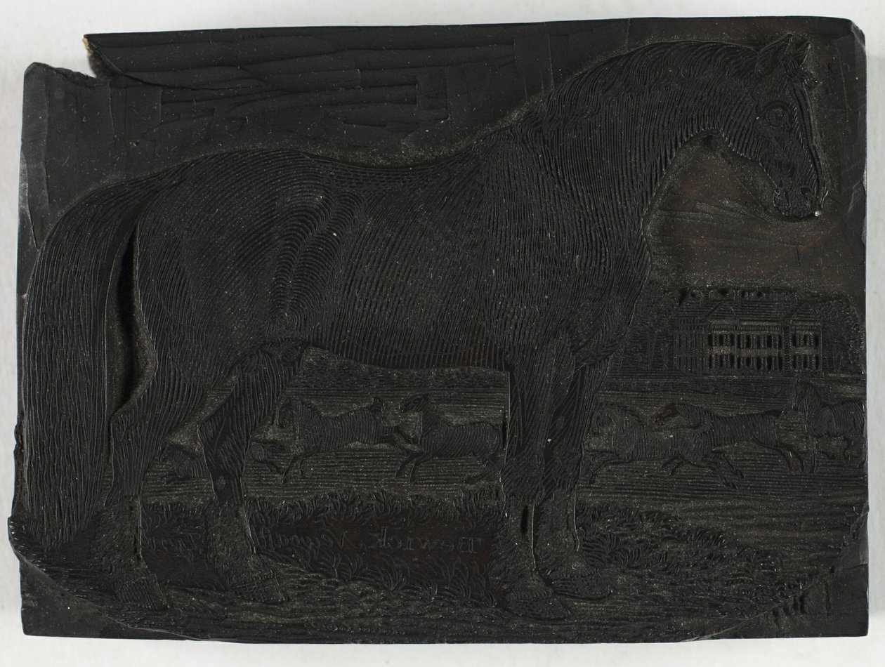 Houtsnede voor Het Zwarte Paard, uit een Algemene Geschiedenis van Viervoeters door Thomas Bewick