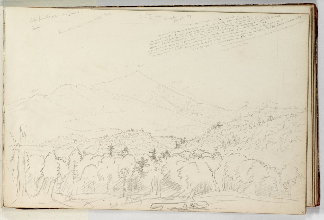 Uitzicht op Schroon Mountain naar het noorden 28 juni door Thomas Cole