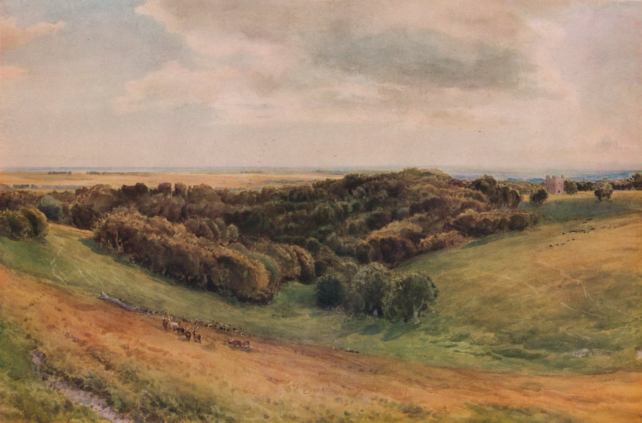 Arundel Park, 1874 door Thomas Collier
