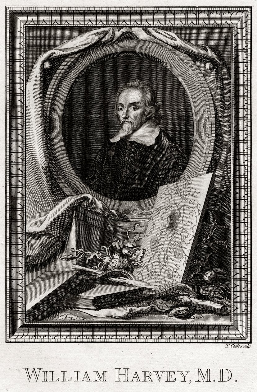 William Harvey, 1777 door Thomas Cook