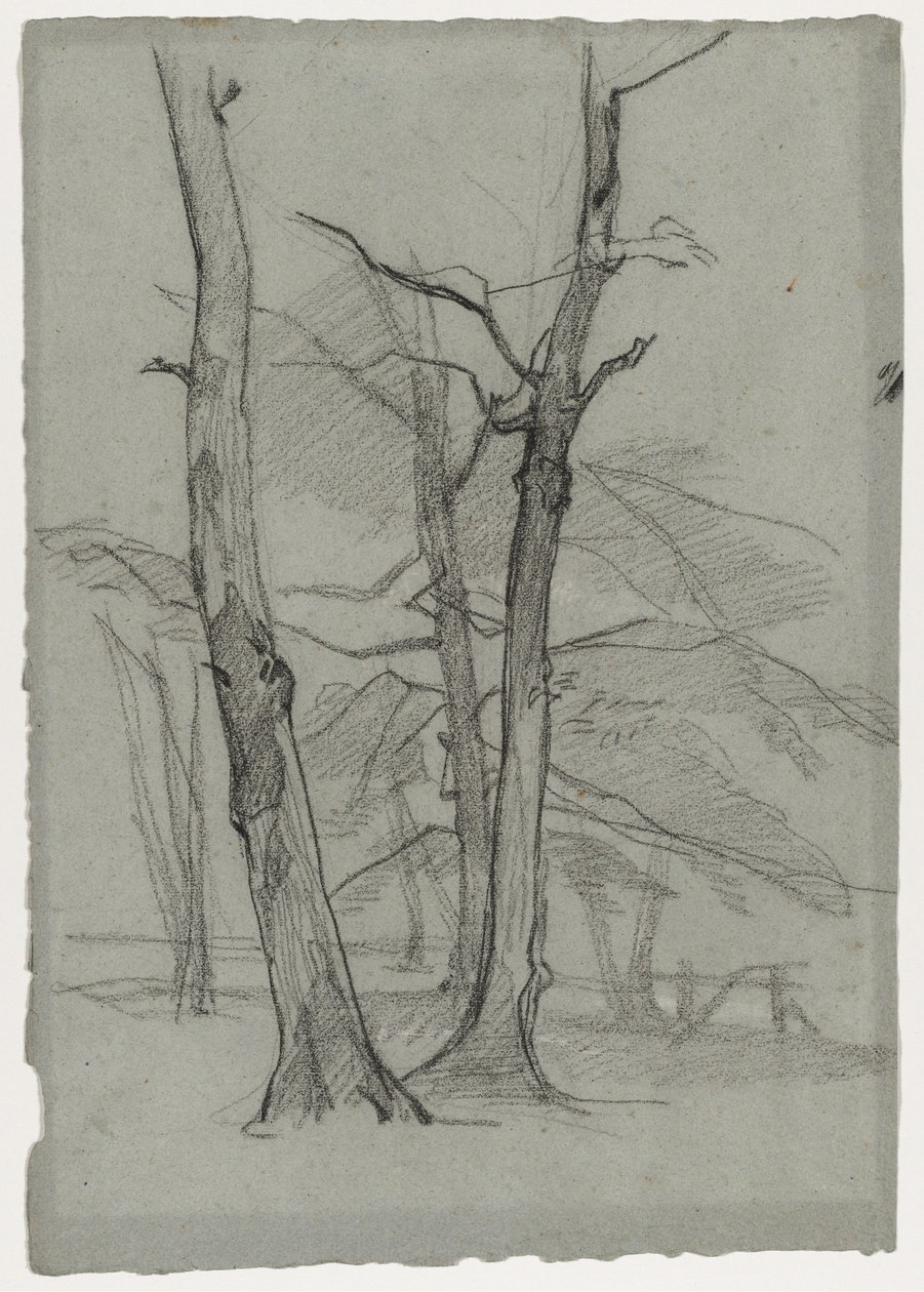 Landschapsstudie met bomen, c. 1870-1875 door Thomas Couture