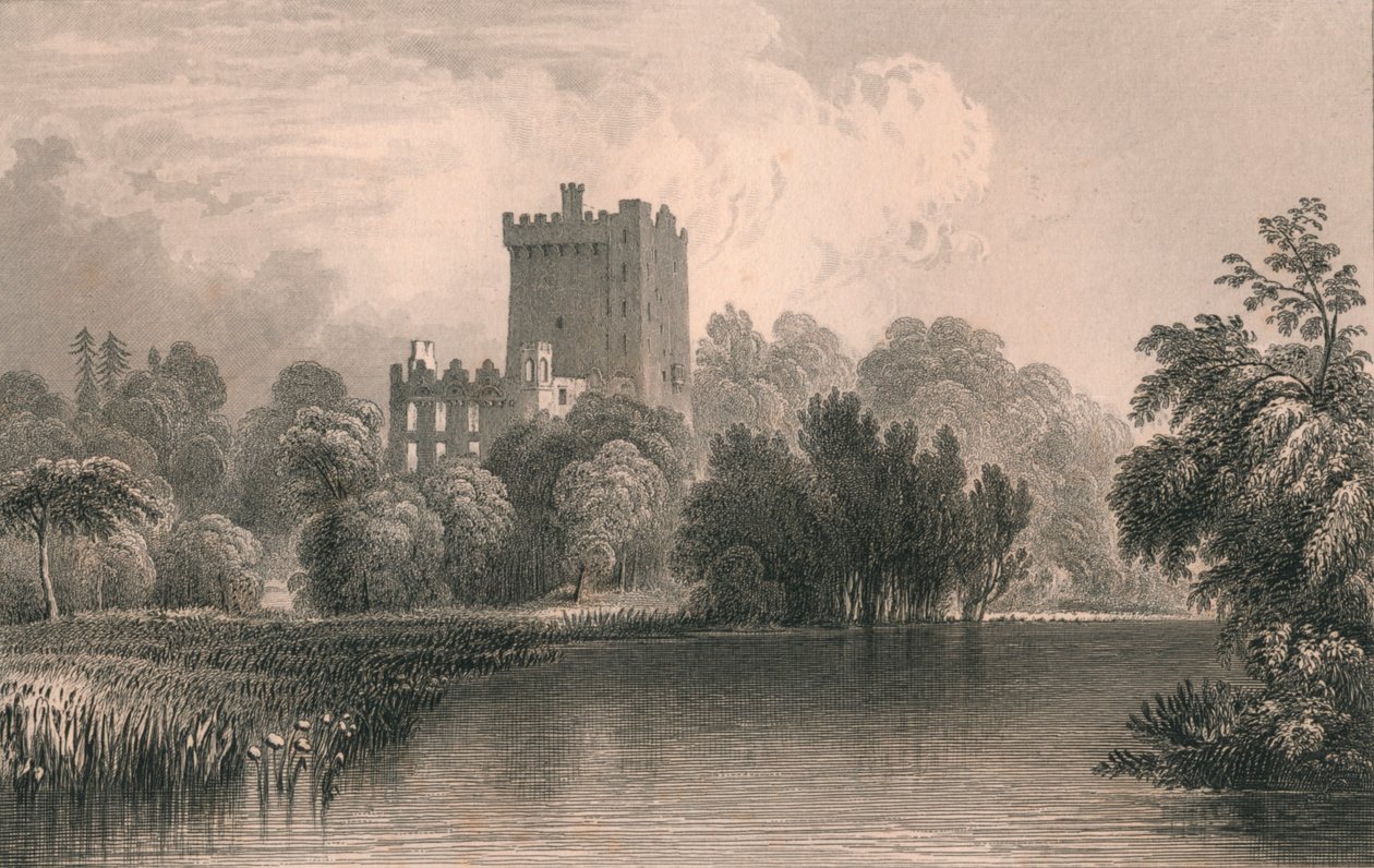 Blarney Kasteel, Co. Cork door Thomas Dixon