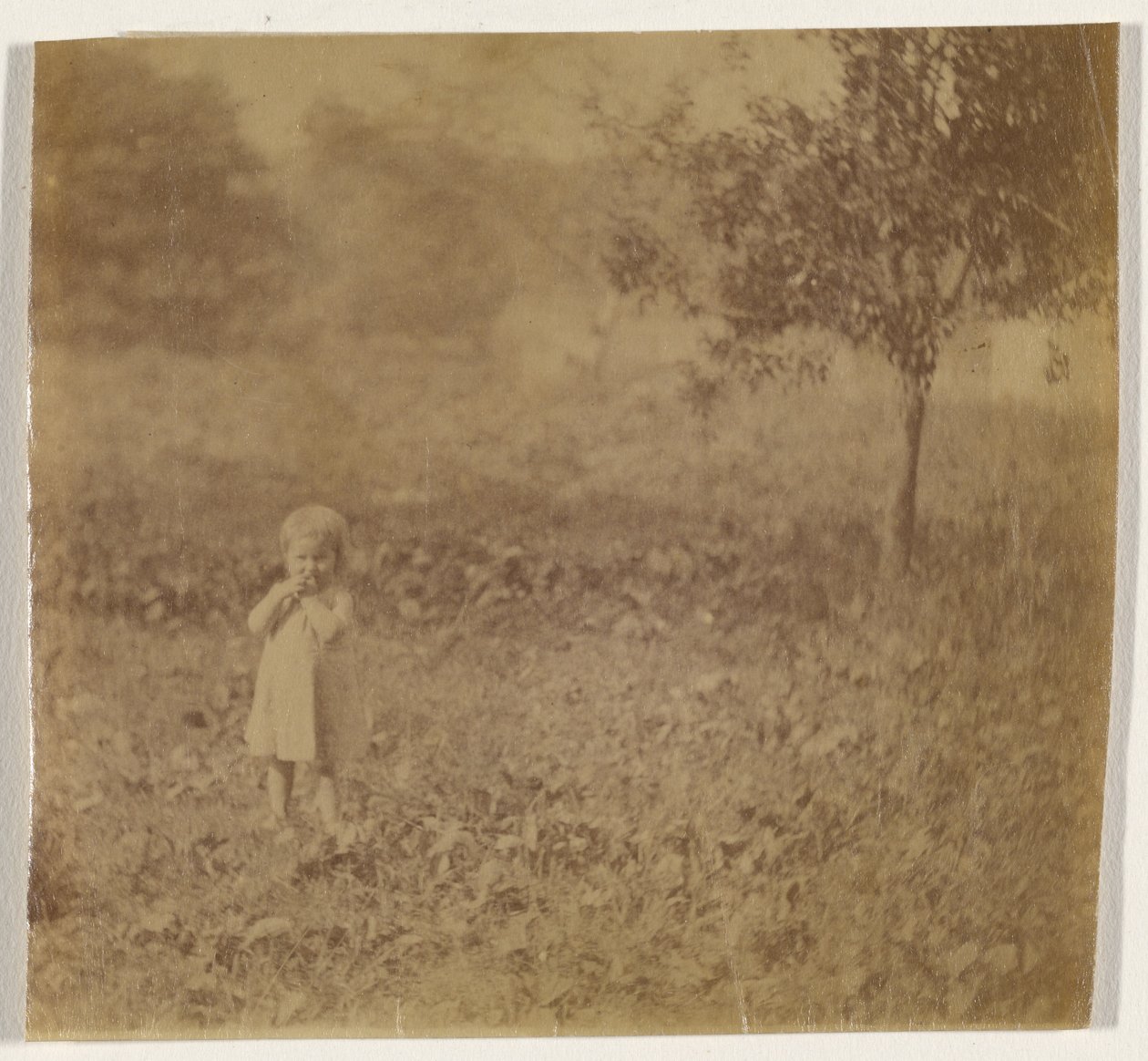 [Portret van een kind] door Thomas Eakins