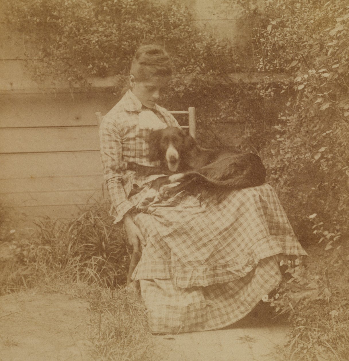 [Susan Macdowell (later mevrouw Thomas Eakins) met een setter] door Thomas Eakins