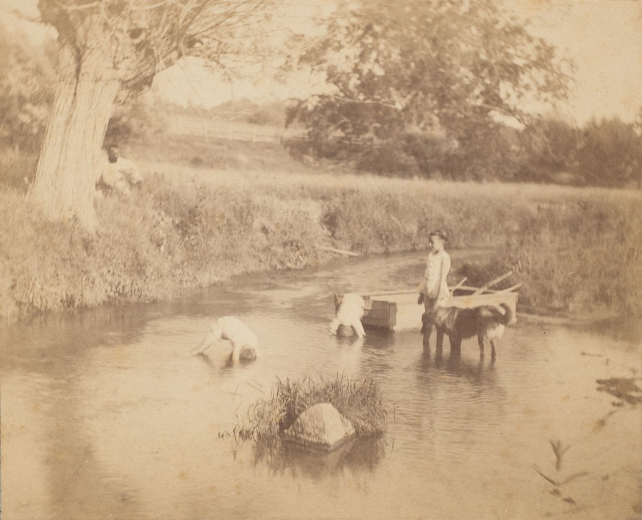 Drie kinderen en een hond spelen in de kreek door Thomas Eakins