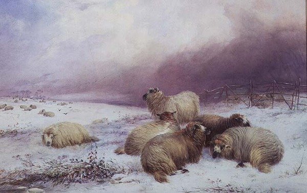 Een winterlandschap met schapen door Thomas Francis Wainewright