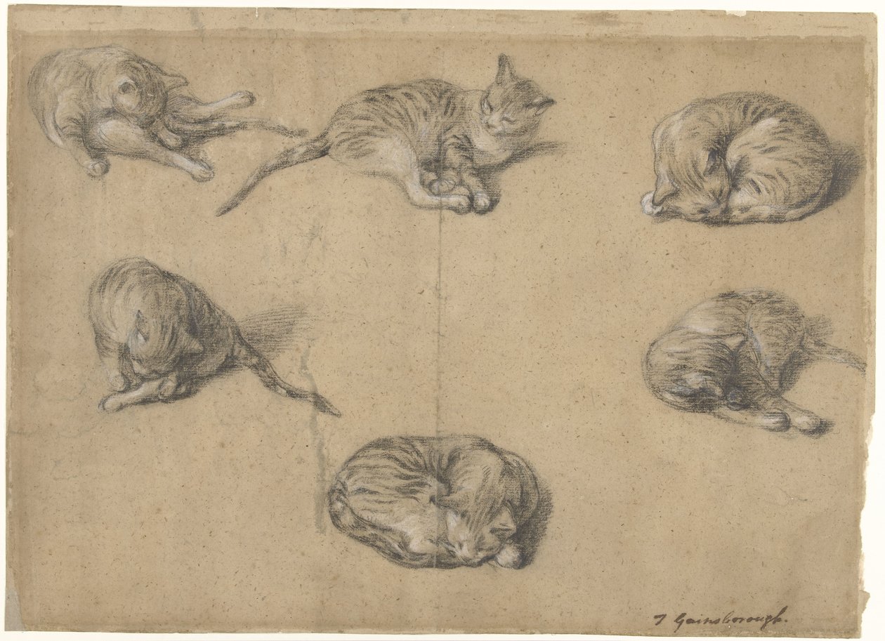 Zes studies van een kat door Thomas Gainsborough