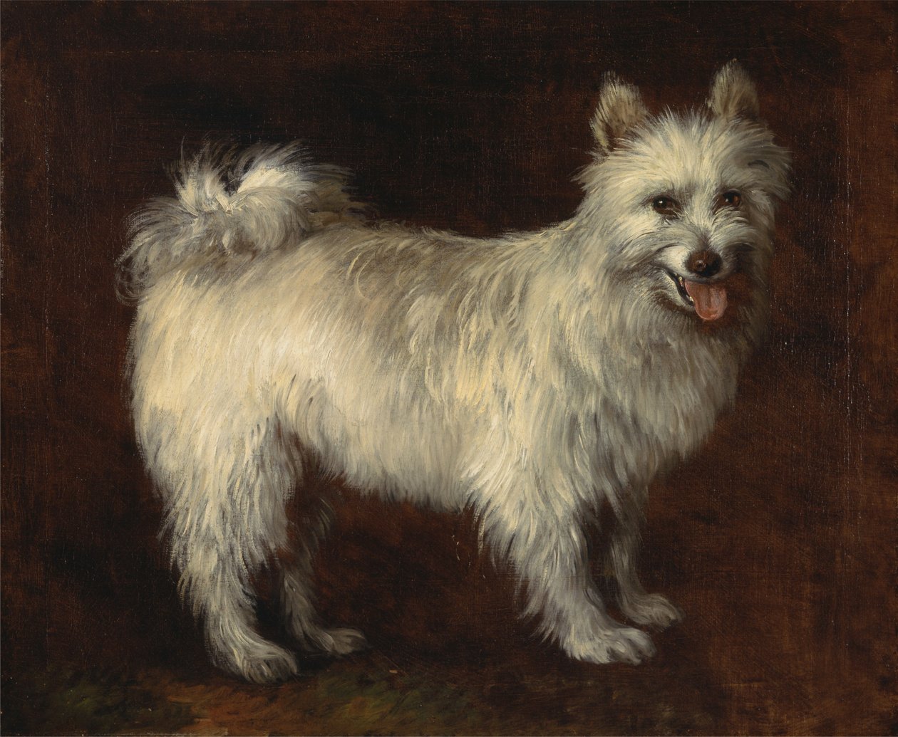 Spitzhond door Thomas Gainsborough