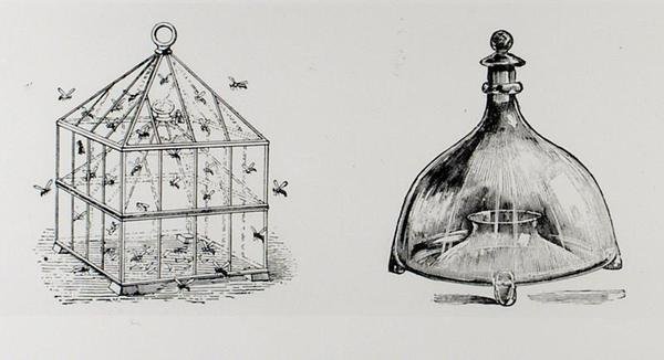 Wespen- en vliegenvallen, uit Thomas Mawson
