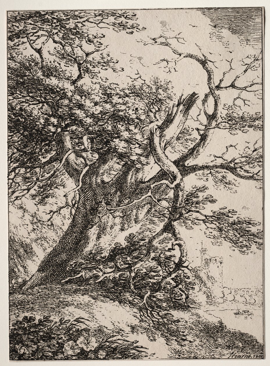 Specimens of Polyautography: Landschap met een eik door Thomas Hearne